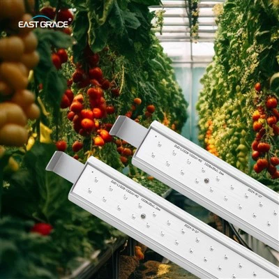 LED Grow Işık Çubuğu Modülüne - ekleyin