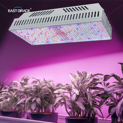 Ticari Dikim Top1930E LED Grow Işık Armatür